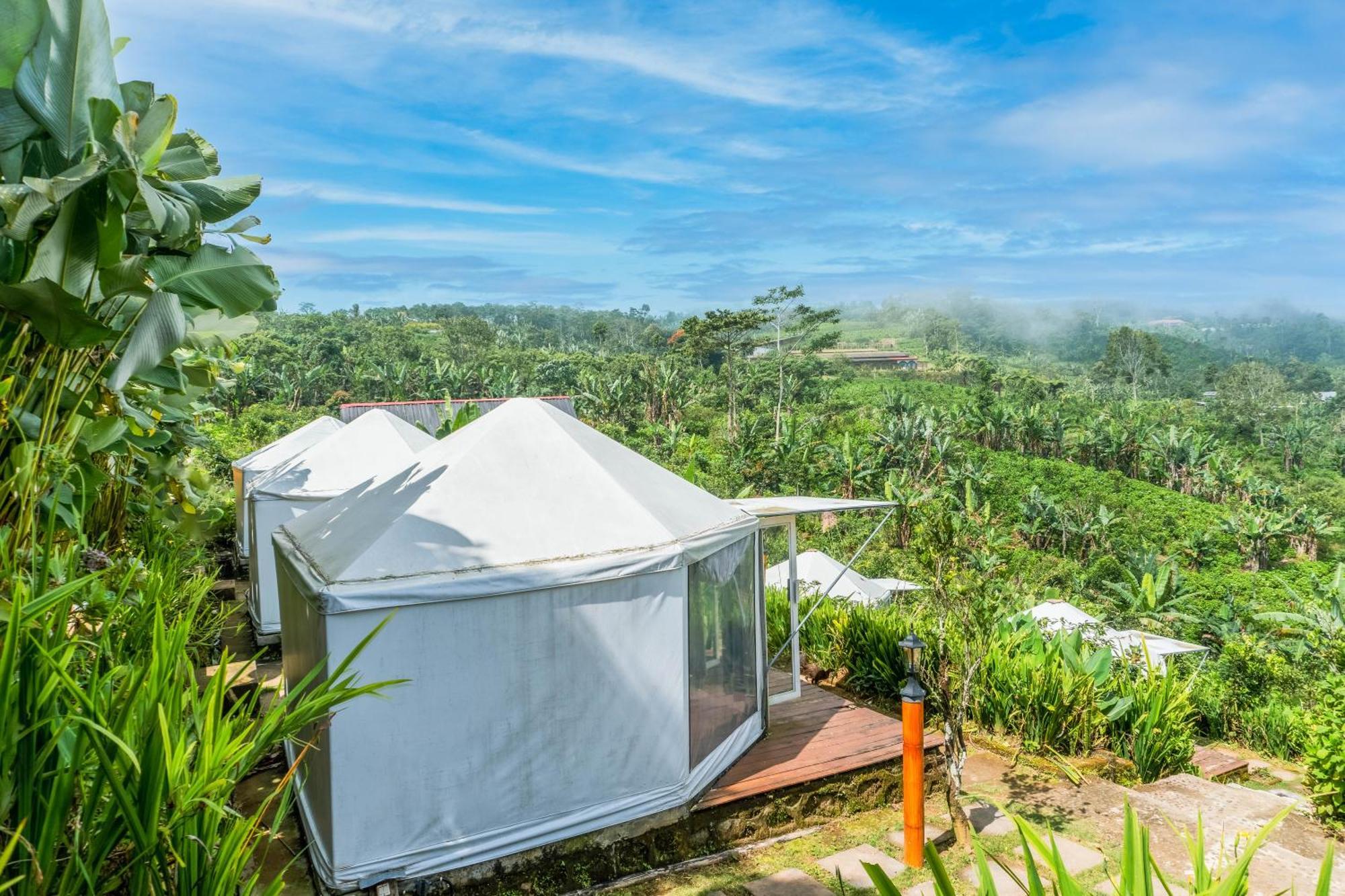 Alam Kita Glamping & Plantation Hotel Munduk  Luaran gambar